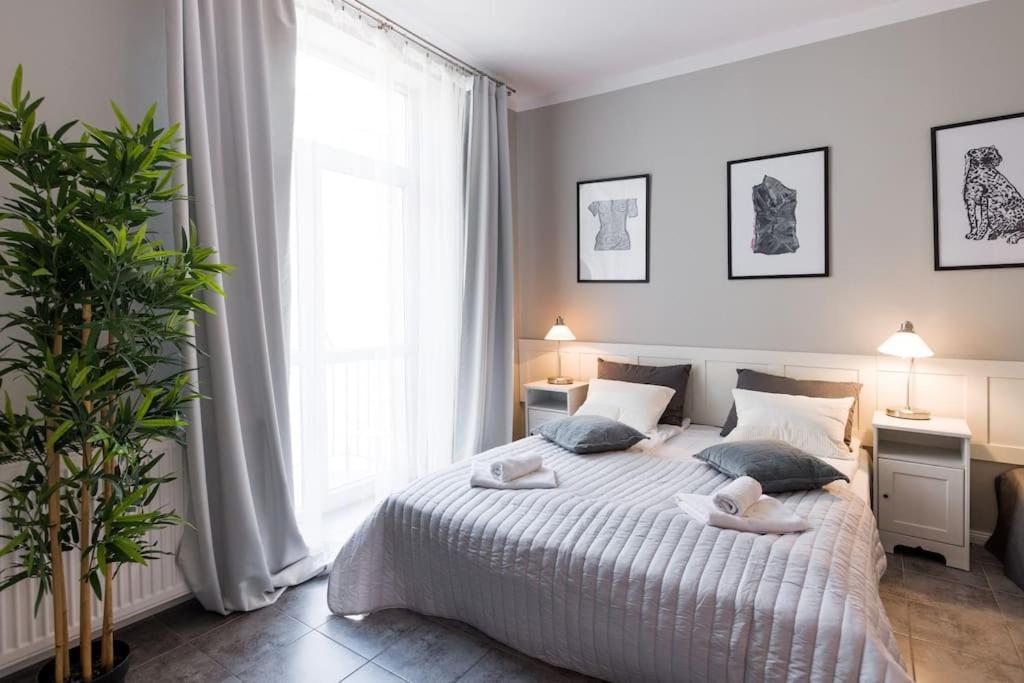Florianska Deluxe Apartments With Air Condition Kraków Eksteriør billede